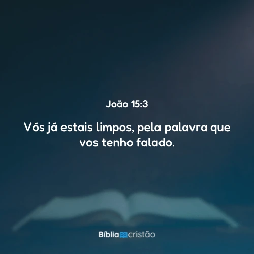 João 15:3