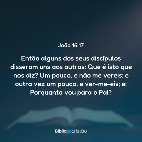João 16:17