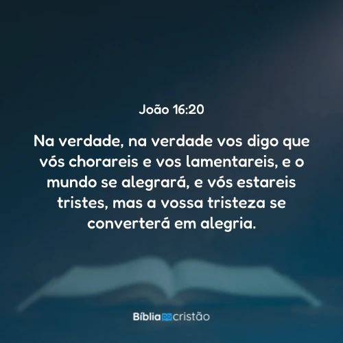 João 16:20