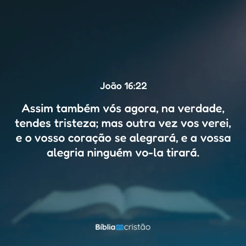 João 16:22