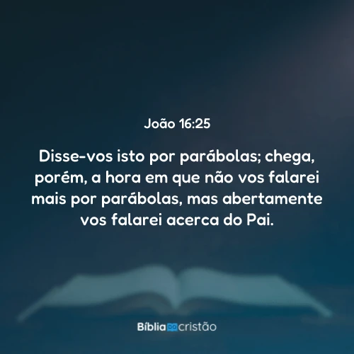 João 16:25