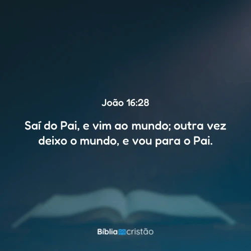 João 16:28