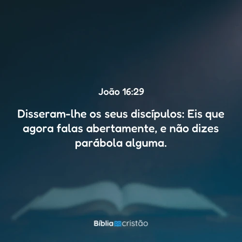 João 16:29