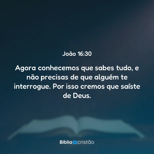 João 16:30