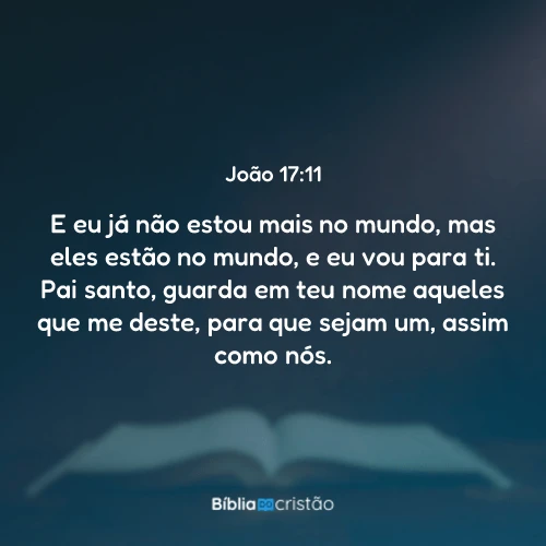 João 17:11