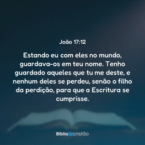 João 17:12