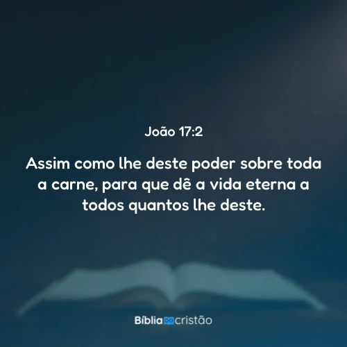 João 17:2