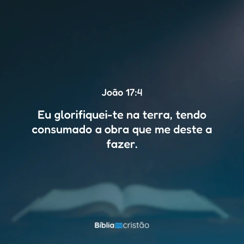 João 17:4