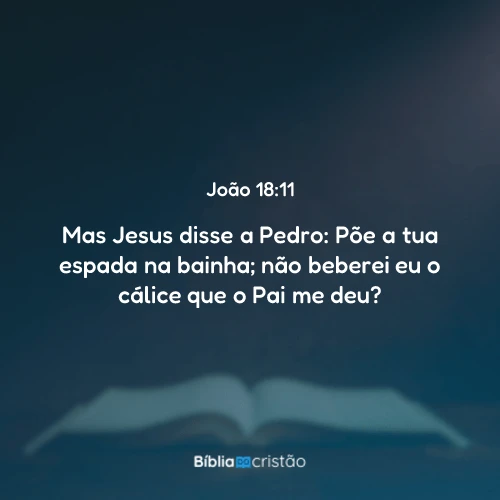 João 18:11