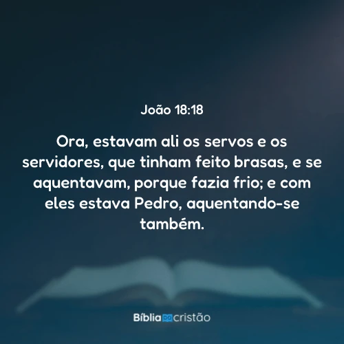 João 18:18