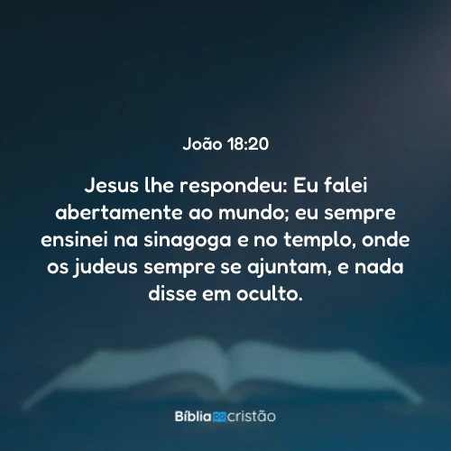 João 18:20