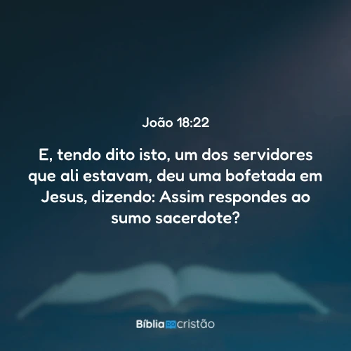 João 18:22