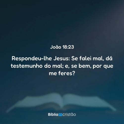 João 18:23