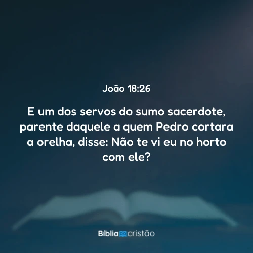 João 18:26