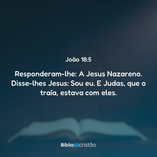 João 18:5