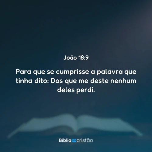 João 18:9