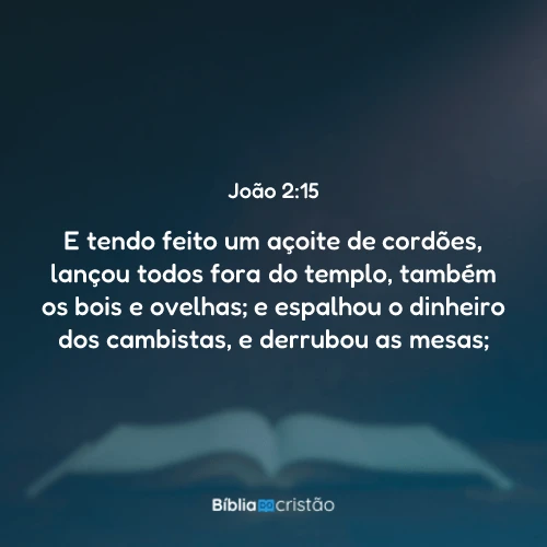 João 2:15