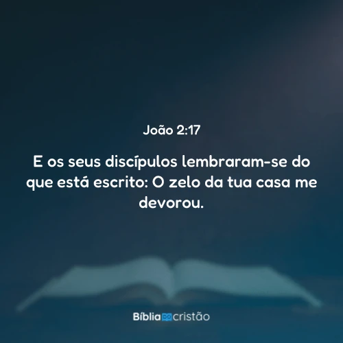 João 2:17