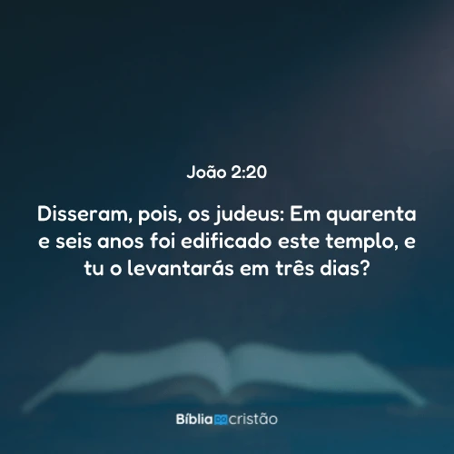 João 2:20