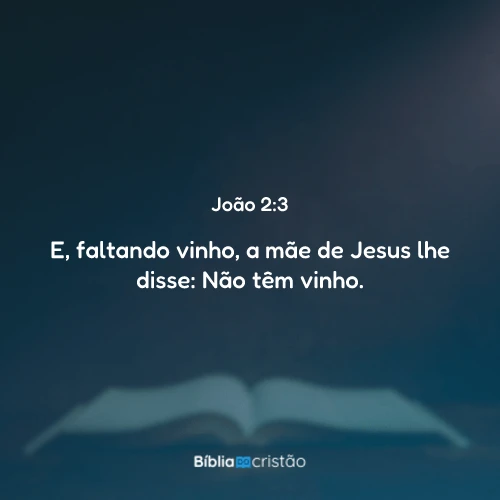 João 2:3