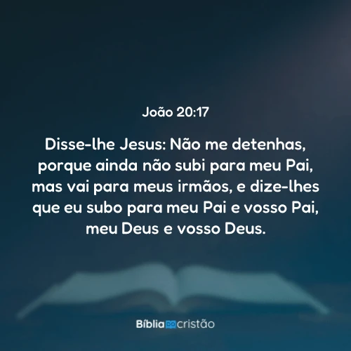 João 20:17