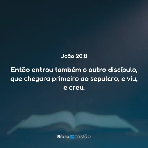 João 20:8