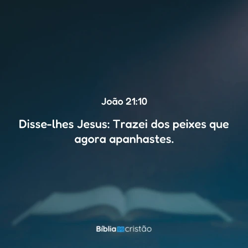 João 21:10