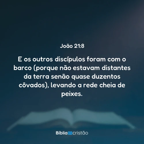 João 21:8