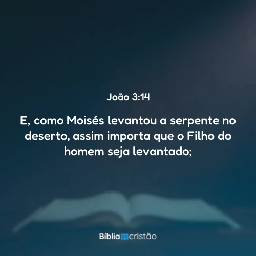 João 3:14