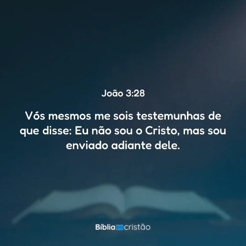João 3:28