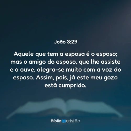 João 3:29