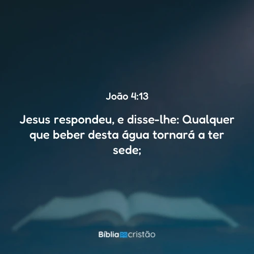 João 4:13