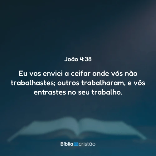 João 4:38