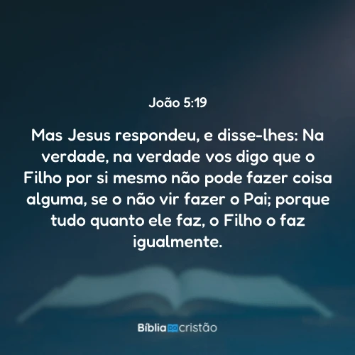 João 5:19