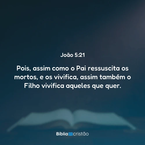 João 5:21