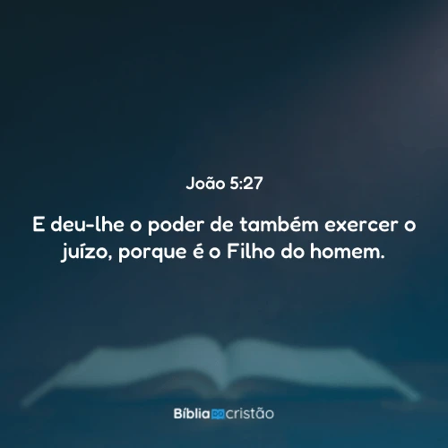João 5:27