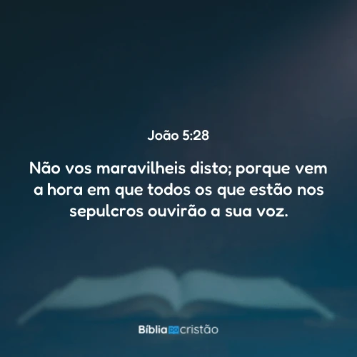 João 5:28