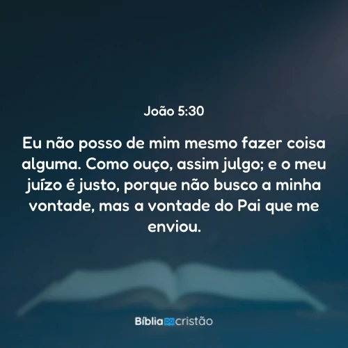 João 5:30