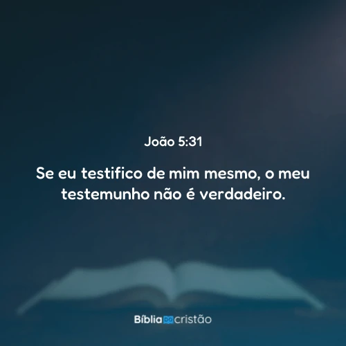 João 5:31