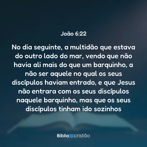 João 6:22