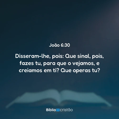 João 6:30