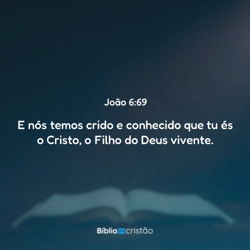 João 6:69
