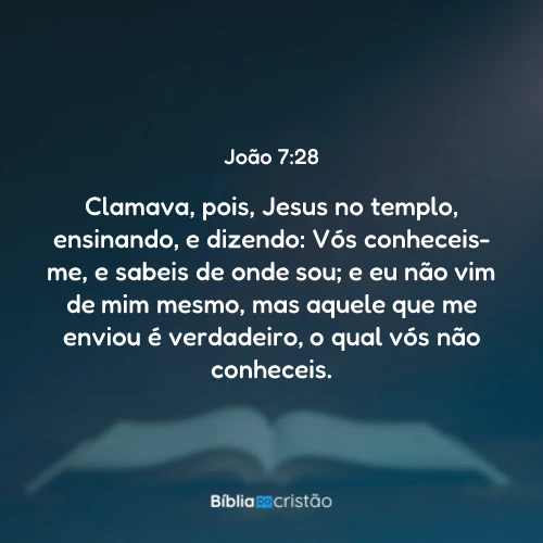João 7:28