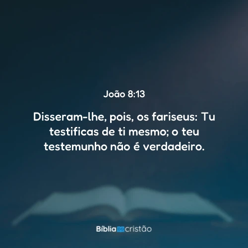 João 8:13