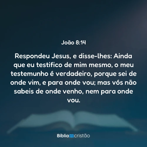 João 8:14