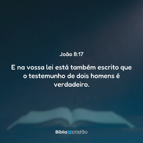 João 8:17
