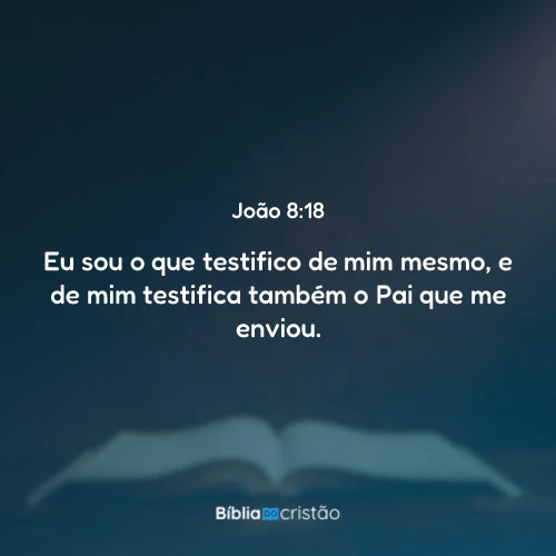 João 8:18