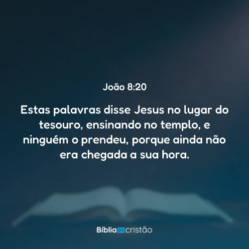 João 8:20