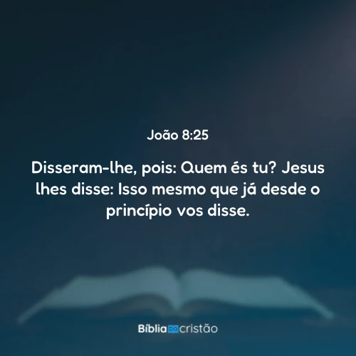 João 8:25