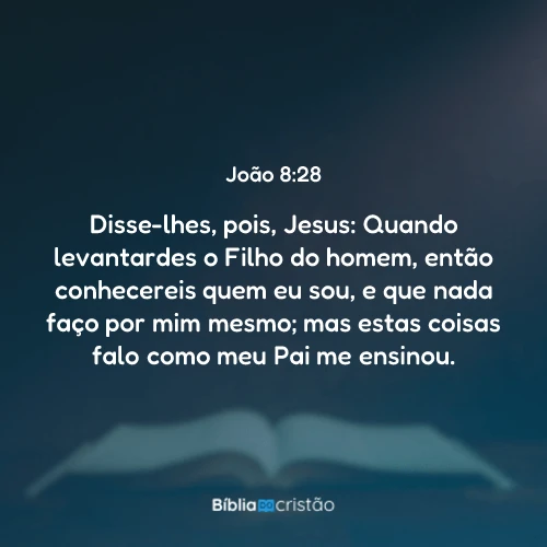 João 8:28